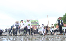 Gubernur Khofifah Bersama Kaka Slank "Nandur" Mangrove di Bangkalan