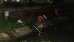 Ribuan Ikan Mengambang Diduga Kena Limbah, Warga Berduyun-Duyun Menangkap di Kali Gunungsari–Jagir Surabaya