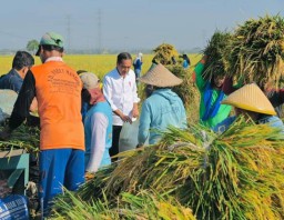 Jokowi Hanya Senyum Saat Ditanya Kejanggalan Transaksi Keuangan Rp300 Triliun Di Kemenkeu Yang Diungkap Mahfud MD