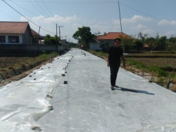 Pembangunan Betonisasi Jalan Di Desa Banjar Talelah Camplong Sampang Dianggap Mampu Meningkatkan Perekonomian Masyarakat