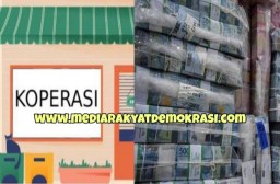 Gegara Kasus Dugaan Penggelapan Dana Kopkar RSI Siti Hajar, Sistem Pengawasan Dinkop Dipertanyakan Publik