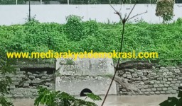 Miris! Masih Seumur Jagung, Proyek Pembenahan Lindung Tebing Pintu Air Jagir Surabaya Yang Telan Ratusan Juta Rupiah Sudah Rusak Dan Berlubang