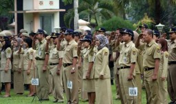 Kebijakan Bukan Turun Dari Langit, Ternyata Ini Alasan Jokowi Hapus Honorer..