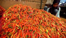 Harga Cabai Rawit Di Surabaya Terlalu Pedas, Bikin Emak-Emak Menjerit