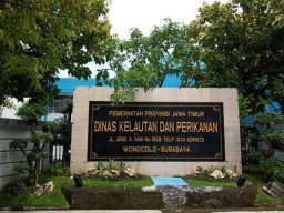 Pembangunan Langit' Gudang Arsip Depo DKP Jatim Disorot, Telan Anggaran 2M Dengan Metode Pilihan 'Lembut'