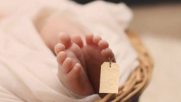 Informasi Penting Bagi Orang Tua!! Virus RSV Sangat Berbahaya Bagi Bayi, Berikut Penjelasannya