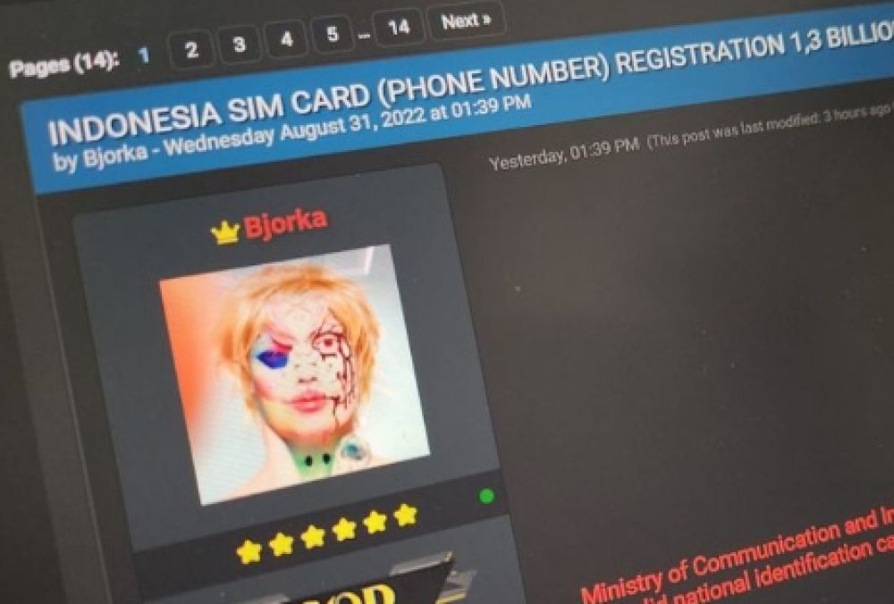 Identitas Bjorka Dan Alasan Kenapa Bocorkan Data Pemerintah Indonesia