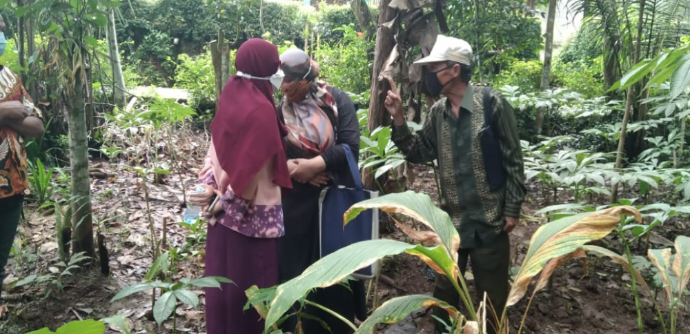 Pelindungan Bahasa Dan Sastra, Revitalisasi Wayang Beber Di Gunungkidul