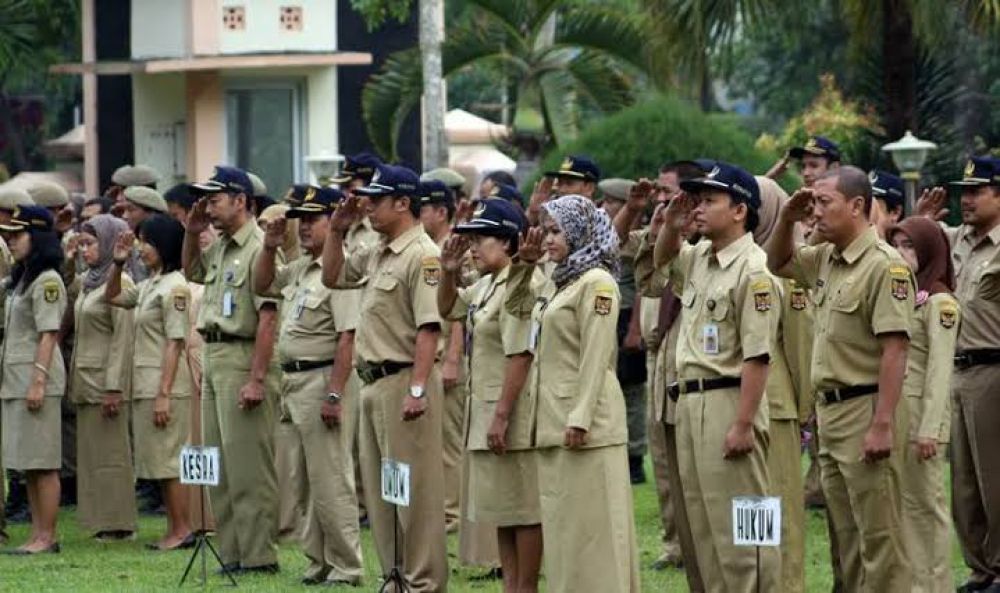 Kebijakan Bukan Turun Dari Langit, Ternyata Ini Alasan Jokowi Hapus Honorer..