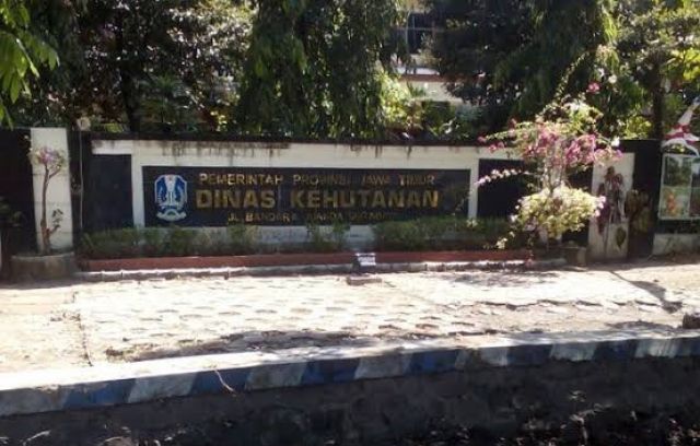 Kisah Asisten Kadis Kehutanan Jatim Yang Tidak Berani Menyampaikan Surat Masyarakat Ke Pimpinan, Sungguh Ironis Sekali