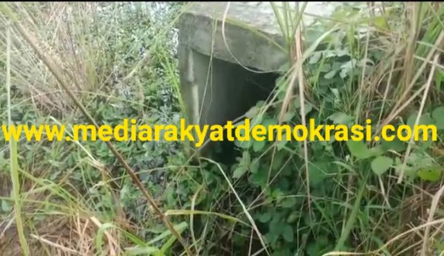 RSUD Sidoarjo Sisi Barat Diduga Kuat Tak Punyai Selokan, Hingga Mengalir Ke Sawah, Warga : Masak Bupati Tidak Tau?