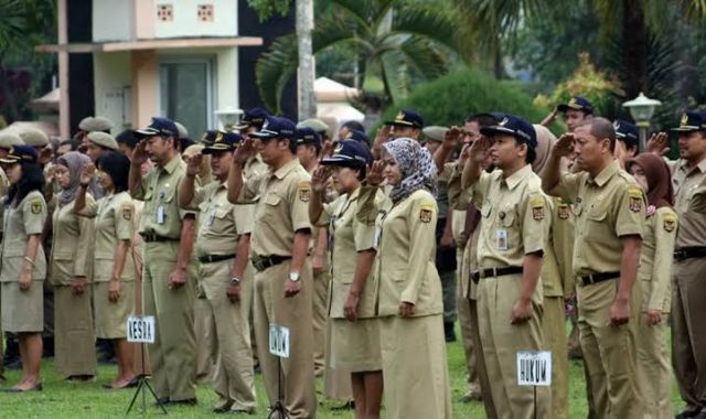 Kebijakan Bukan Turun Dari Langit, Ternyata Ini Alasan Jokowi Hapus Honorer..