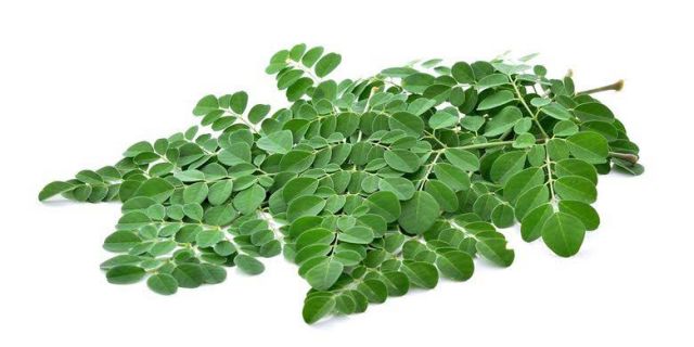 Daun Ini Ampuh Atasi Mata Rabun/Minus, Caranya Begini