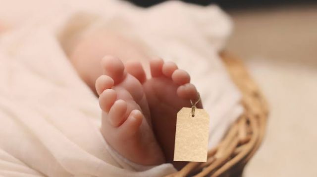 Informasi Penting Bagi Orang Tua!! Virus RSV Sangat Berbahaya Bagi Bayi, Berikut Penjelasannya